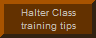 Click here for halter class training tips
