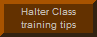 Click here to view Training tips for halter classes