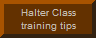 Click here for halter class training tips