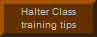Click here for training tips for halter classes